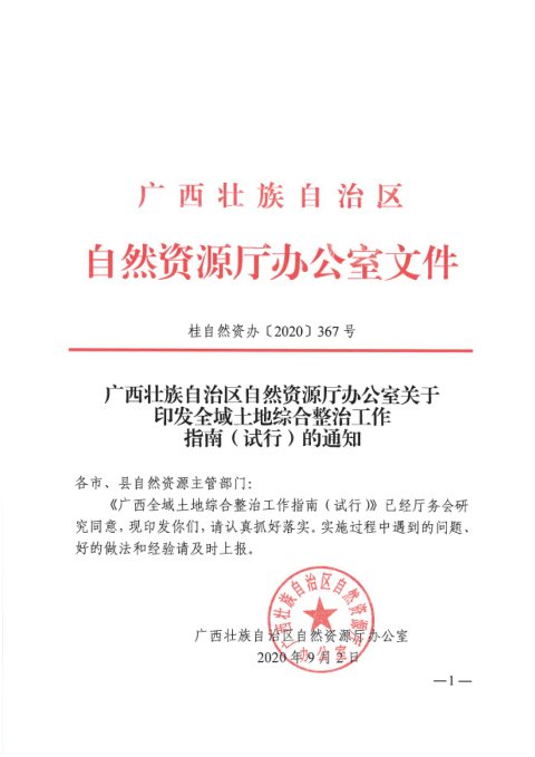广西壮族自治区自然资源厅办公室《全域土地综合整治工作指南（试行）》桂自然资办〔2020〕367号