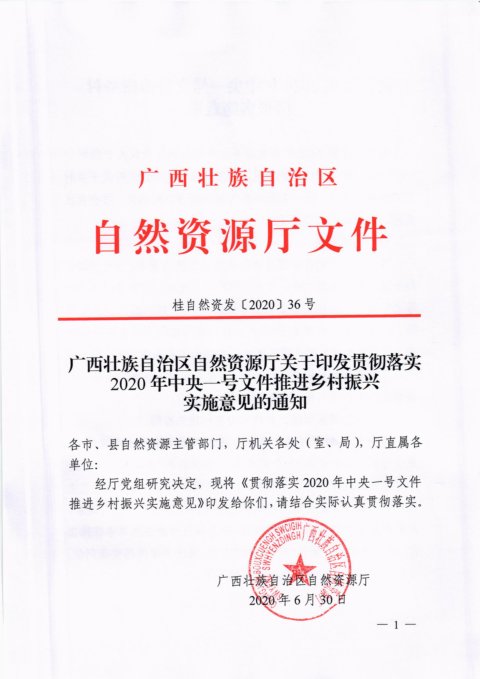 广西壮族自治区自然资源厅《贯彻落实2020年中央一号文件推进乡村振兴实施意见》桂自然资发〔2020〕36号