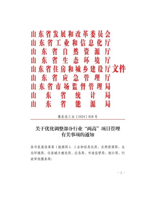山东省发展和改革委员会等九部门《关于优化调整部分行业“两高”项目管理有关事项的通知》鲁发改工业〔2024〕828号