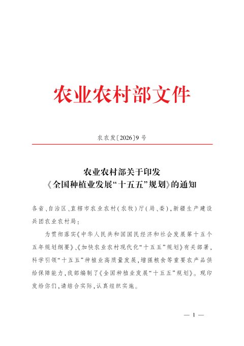 全国种植业发展“十五五”规划