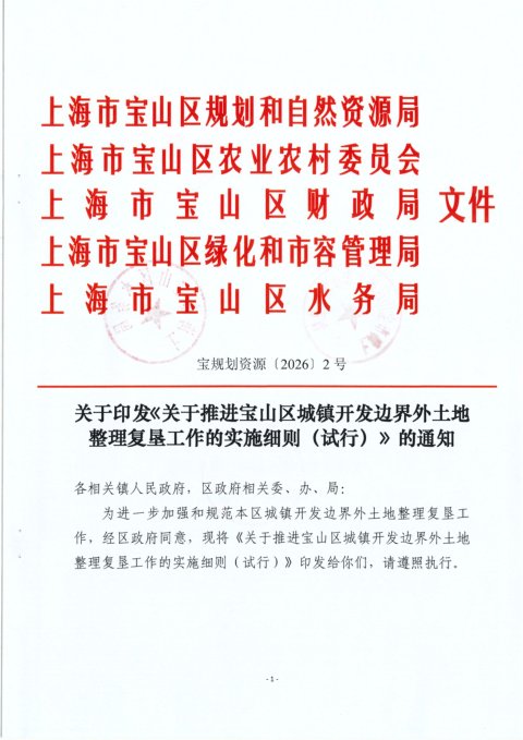 上海市《关于推进宝山区城镇开发边界外土地整理复垦工作的实施细则》宝规划资源〔2026〕2号