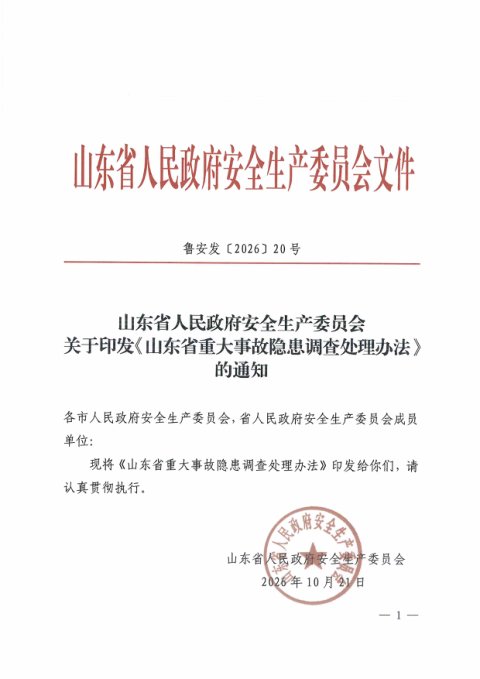 山东省重大事故隐患调查处理办法