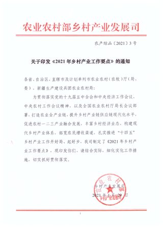 2021年乡村产业工作要点