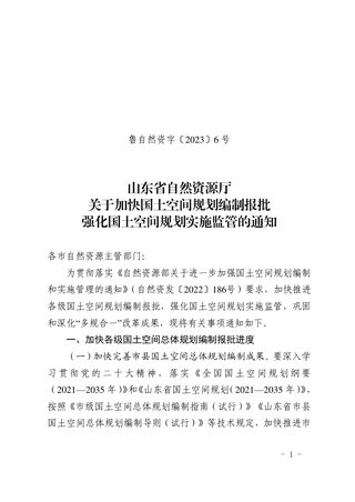 山东省自然资源厅《关于加快国土空间规划编制报批强化国土空间规划实施监管的通知》鲁自然资字〔2023〕6号