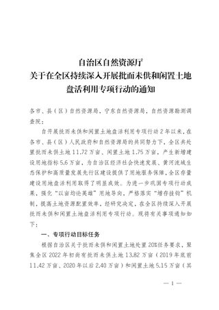 宁夏自治区自然资源厅关于在全区持续深入开展批而未供和闲置土地盘活利用专项行动的通知
