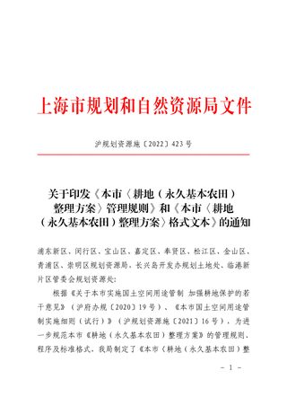 上海市《耕地（永久基本农田）整理方案》管理规则及格式文本
