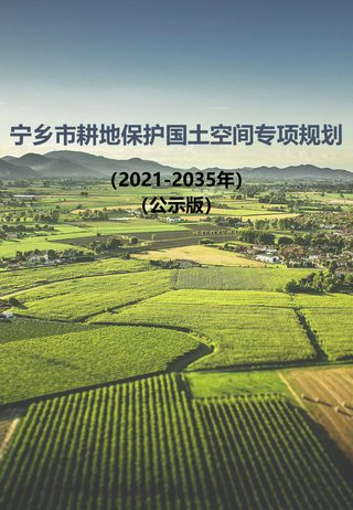 宁乡市耕地保护国土空间专项规划(2021-2035年)