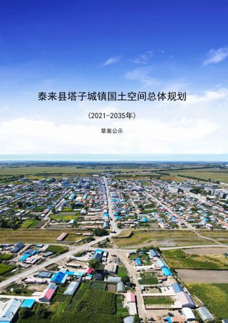 泰来县塔子城镇国土空间总体规划（2021-2035年）