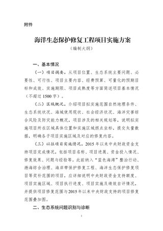 海洋生态保护修复工程项目实施方案（编制大纲）