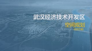湖北省武汉经济技术开发区空间规划（初步方案）