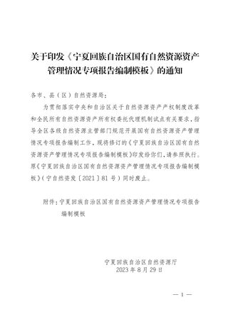 宁夏回族自治区国有自然资源资产管理情况专项报告编制模板