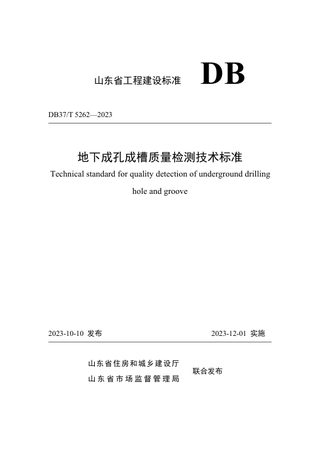 山东省《地下成孔成槽质量检测技术标准》DB37/T 5262-2023