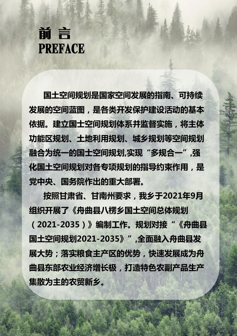 舟曲县八楞乡国土空间总体规划（2021-2035年）第2页