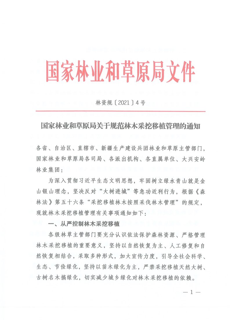 国家林业和草原局《关于规范林木采挖移植管理的通知》林资规〔2021〕4号第1页