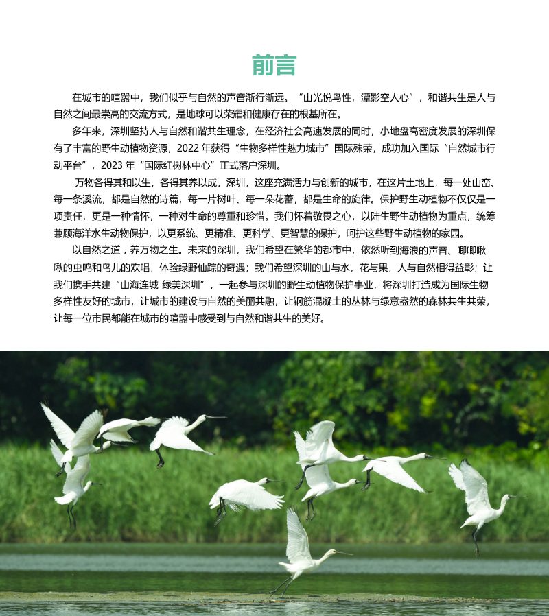 深圳市野生动植物保护规划（2024-2035）第2页