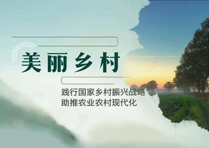 乡村振兴农业现代规划方案文本第1页