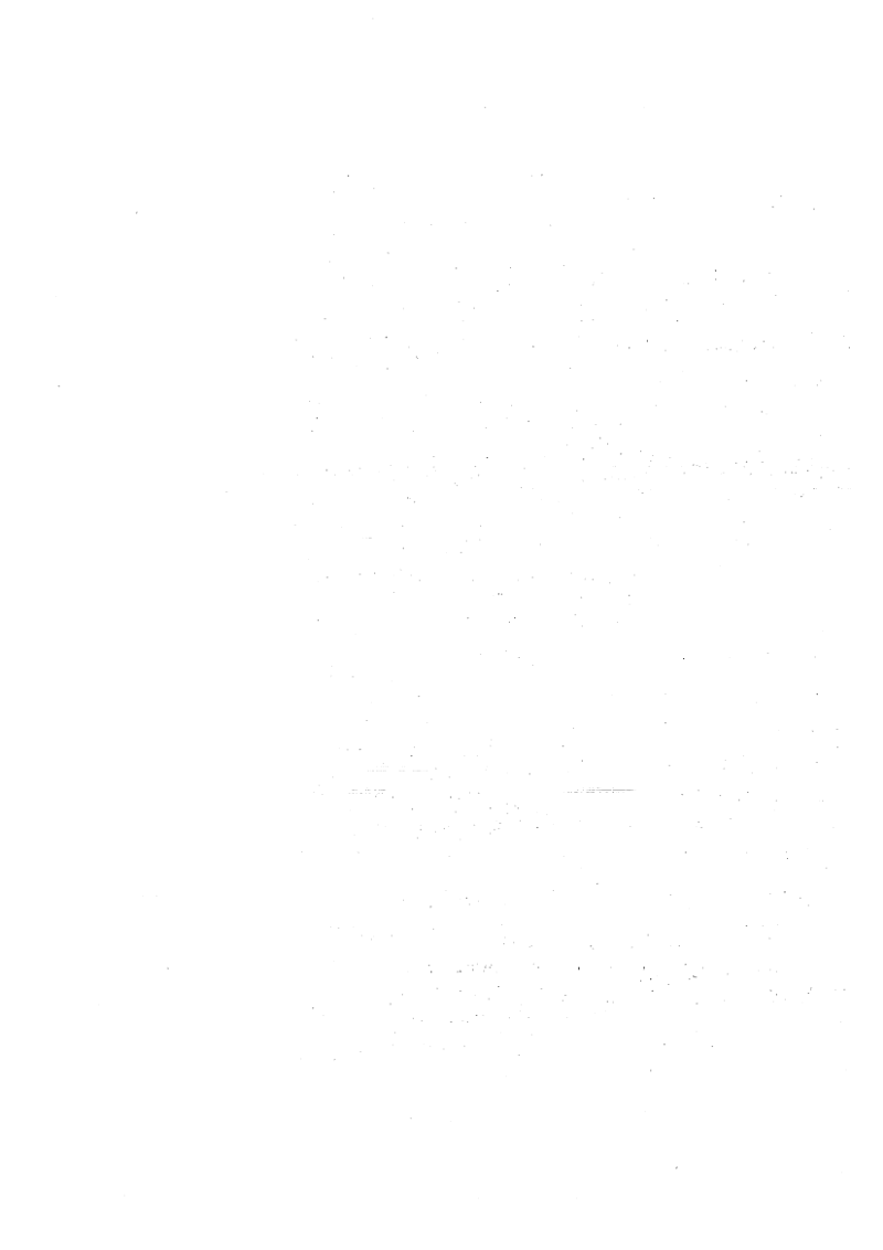 新疆维吾尔自治区《隧洞智能化地质编录技术规范》DB65/T 4809-2024第2页