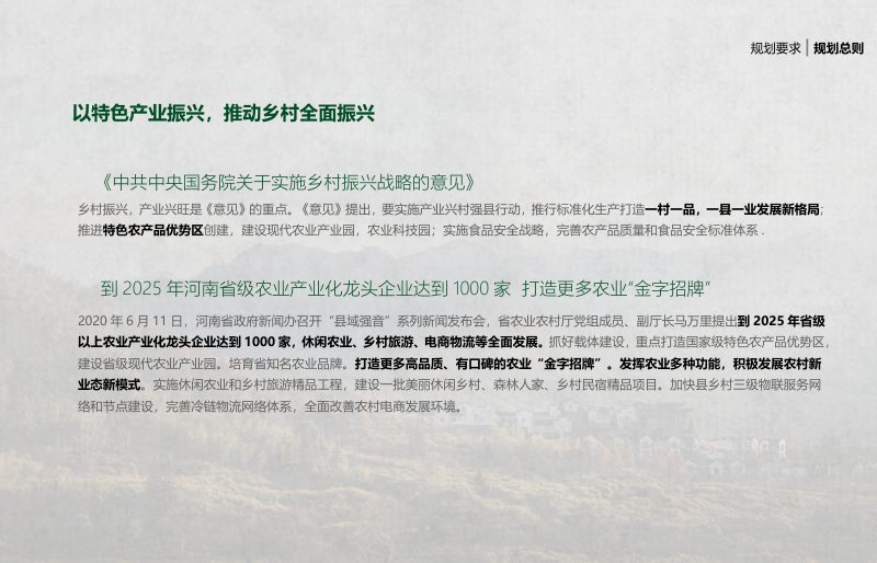 商丘睢县城郊乡保庙村美丽乡村规划设计第5页