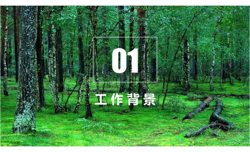 中国国土勘测规划院《不一致图斑地类对接方法与要求》第3页