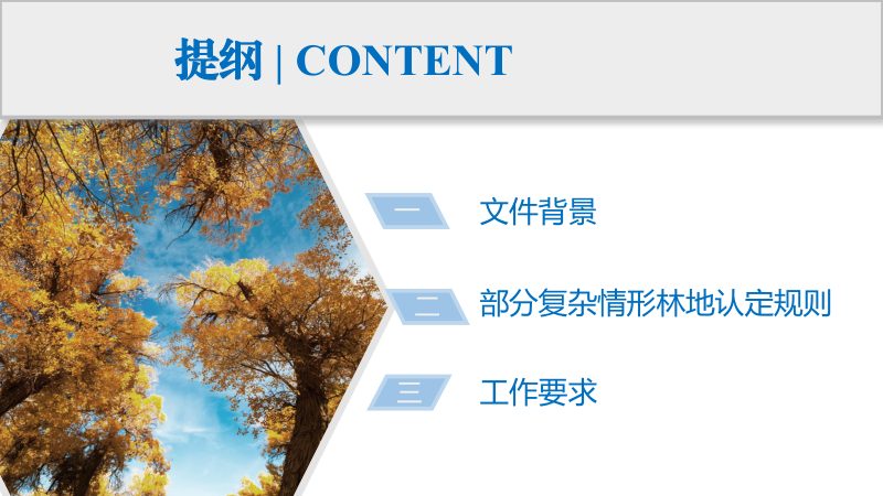 国家林业和草原局《关于进一步明确森林、草原、地调查监测工作中林地地类认定》第2页