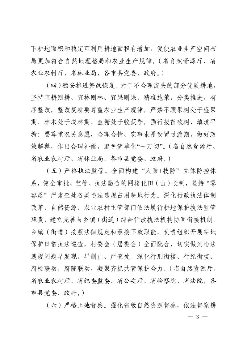 河南省自然资源厅《关于加强耕地保护提升耕地质量完善占补平衡的实施意见》（征求意见稿）第3页