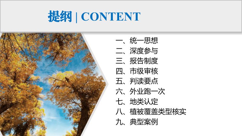广东省《国土调查与林草湿调查不一致图斑地类对接补充技术要点》第3页