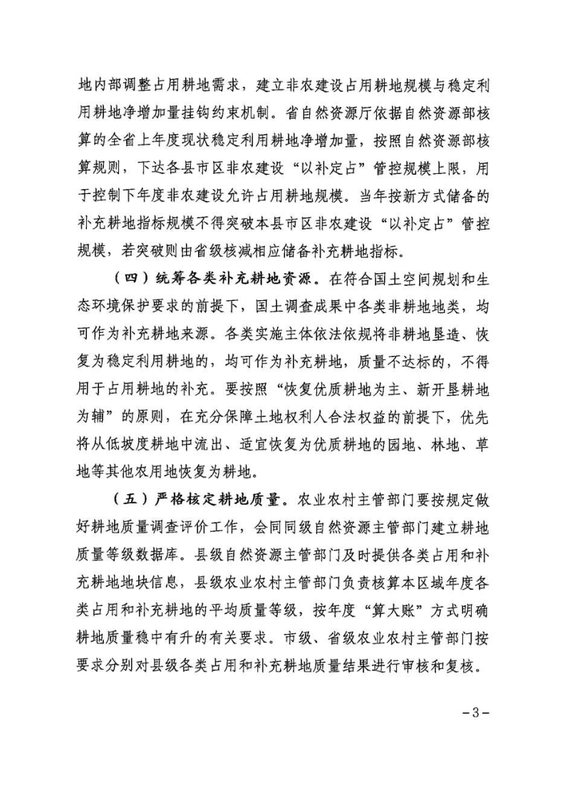 甘肃省自然资源厅 农业农村厅《关于改革完善耕地占补平衡管理的通知》甘资发〔2024〕202号第3页
