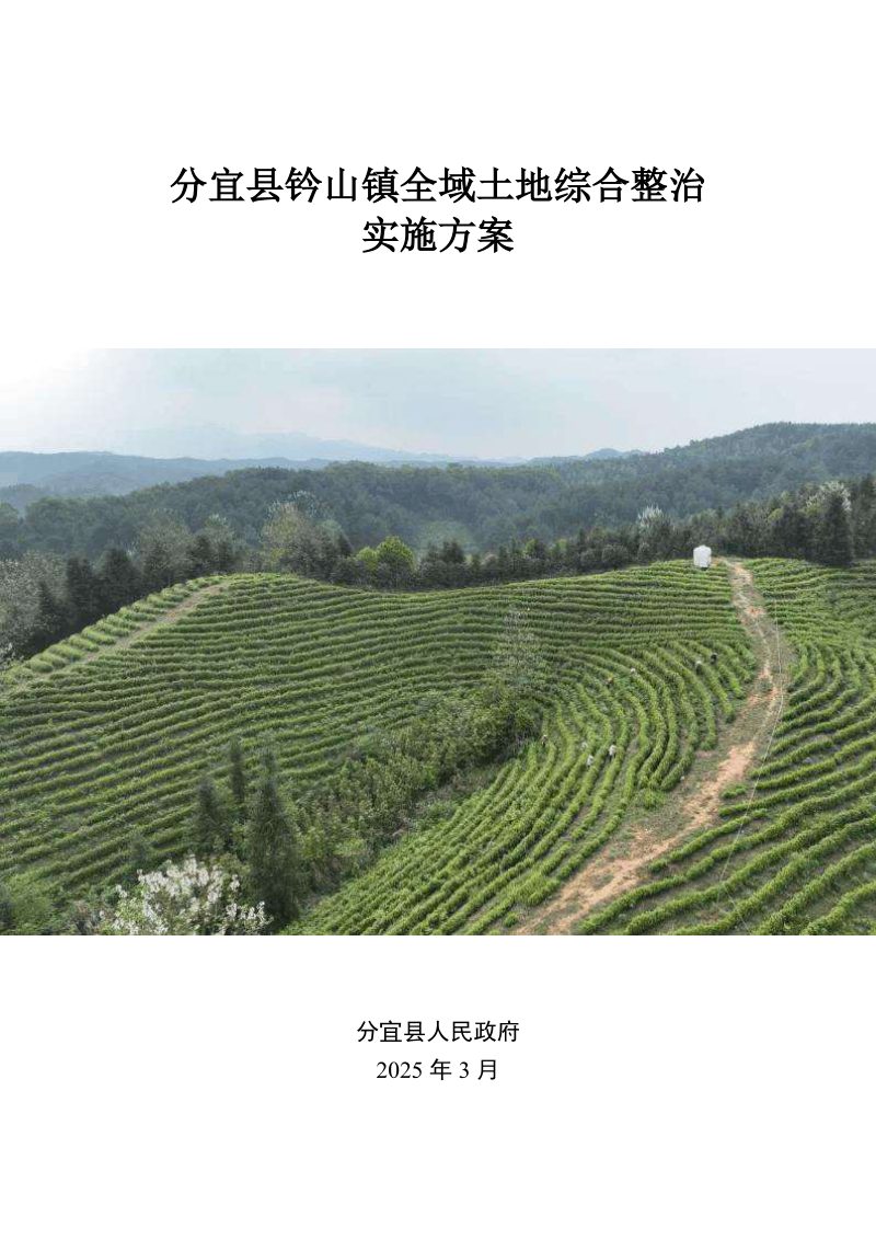 分宜县钤山镇全域土地综合整治实施方案第1页