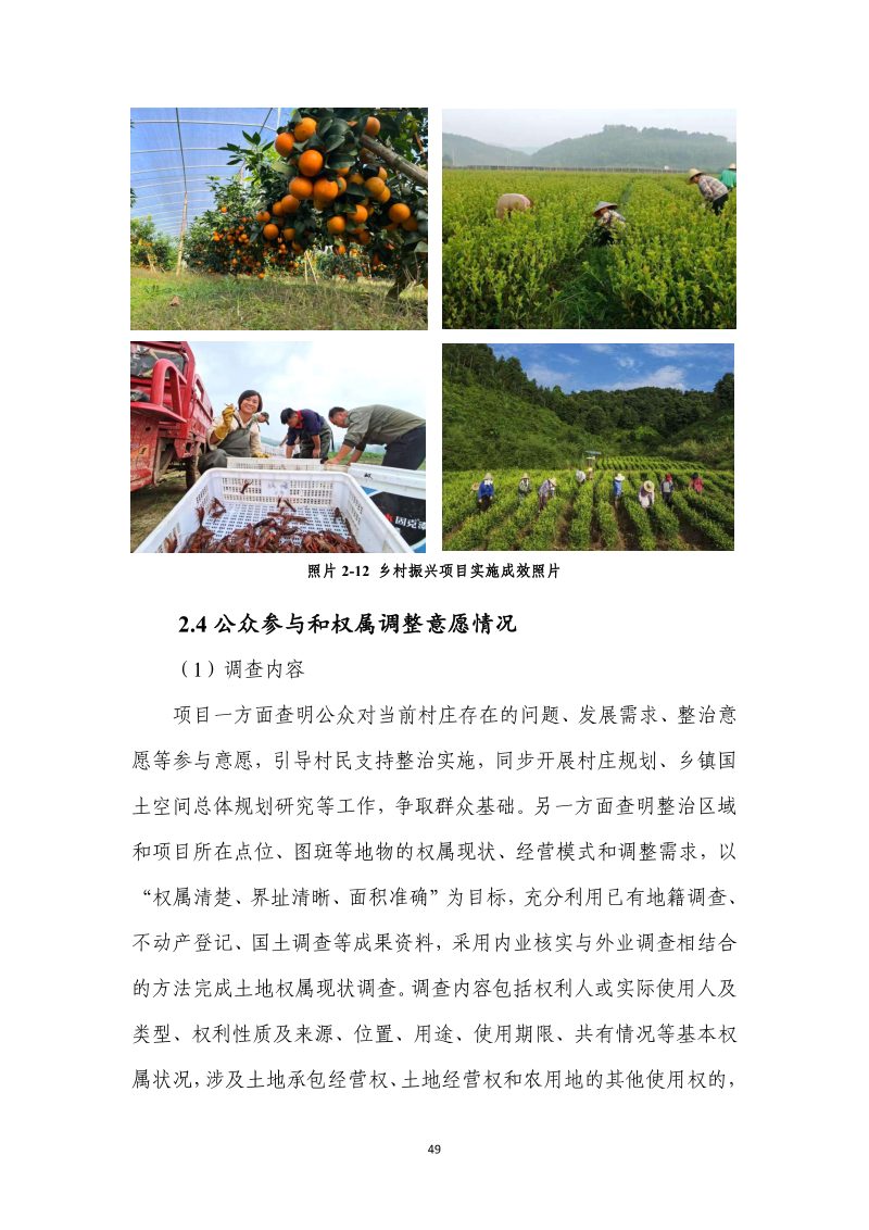 分宜县钤山镇全域土地综合整治实施方案第56页