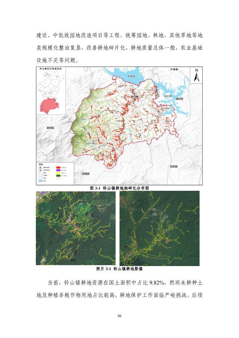 分宜县钤山镇全域土地综合整治实施方案第63页