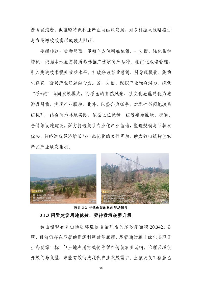 分宜县钤山镇全域土地综合整治实施方案第65页