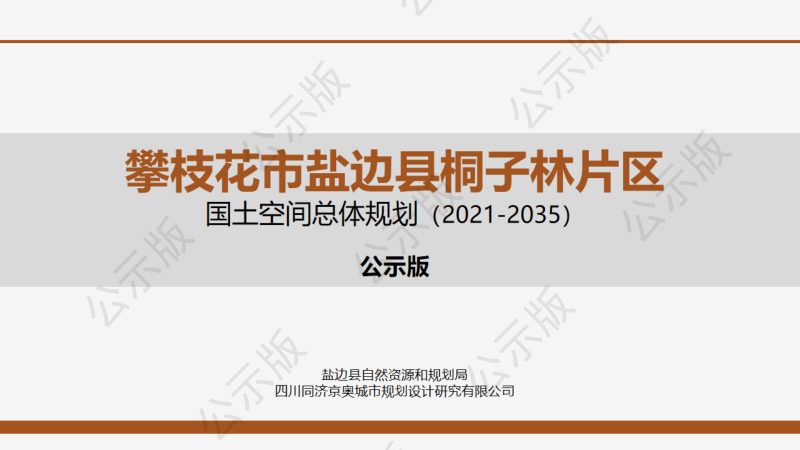 攀枝花市盐边县桐子林片区国土空间总体规划（2021-2035）第1页