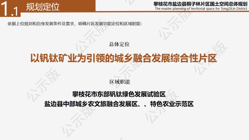 攀枝花市盐边县桐子林片区国土空间总体规划（2021-2035）第3页
