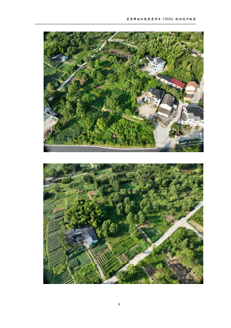 村庄耕地功能恢复项目规划设计报告第14页