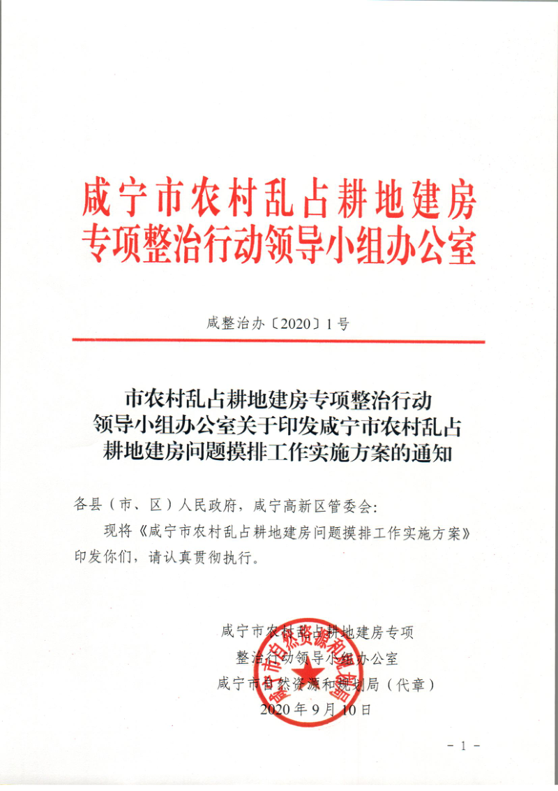 咸宁市农村乱占耕地建房专项整治行动领导小组办公室《咸宁市农村乱占 耕地建房问题摸排工作实施方案》咸整治办〔2020〕1号第1页