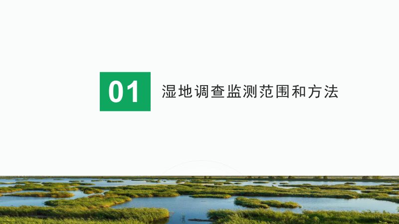 《湿地监测要点》第3页