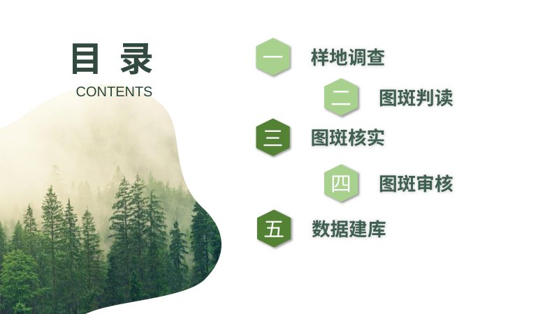 《林草湿荒调查监测数据采集工具及数据建库技术要点》第3页