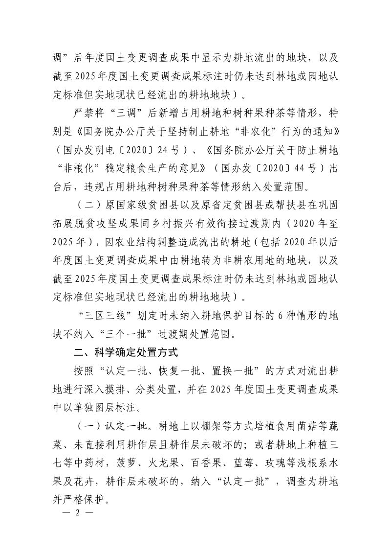 江西省自然资源厅办公室《关于做好流出耕地处置工作的通知》赣自然资办函〔2025〕251号第2页