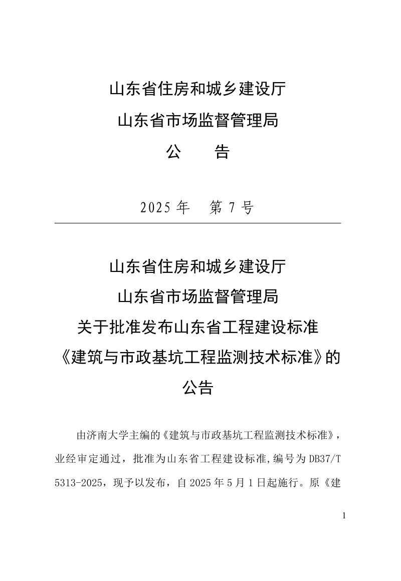 山东省《建筑与市政基坑工程监测技术标准》DB37/T5313-2025第3页