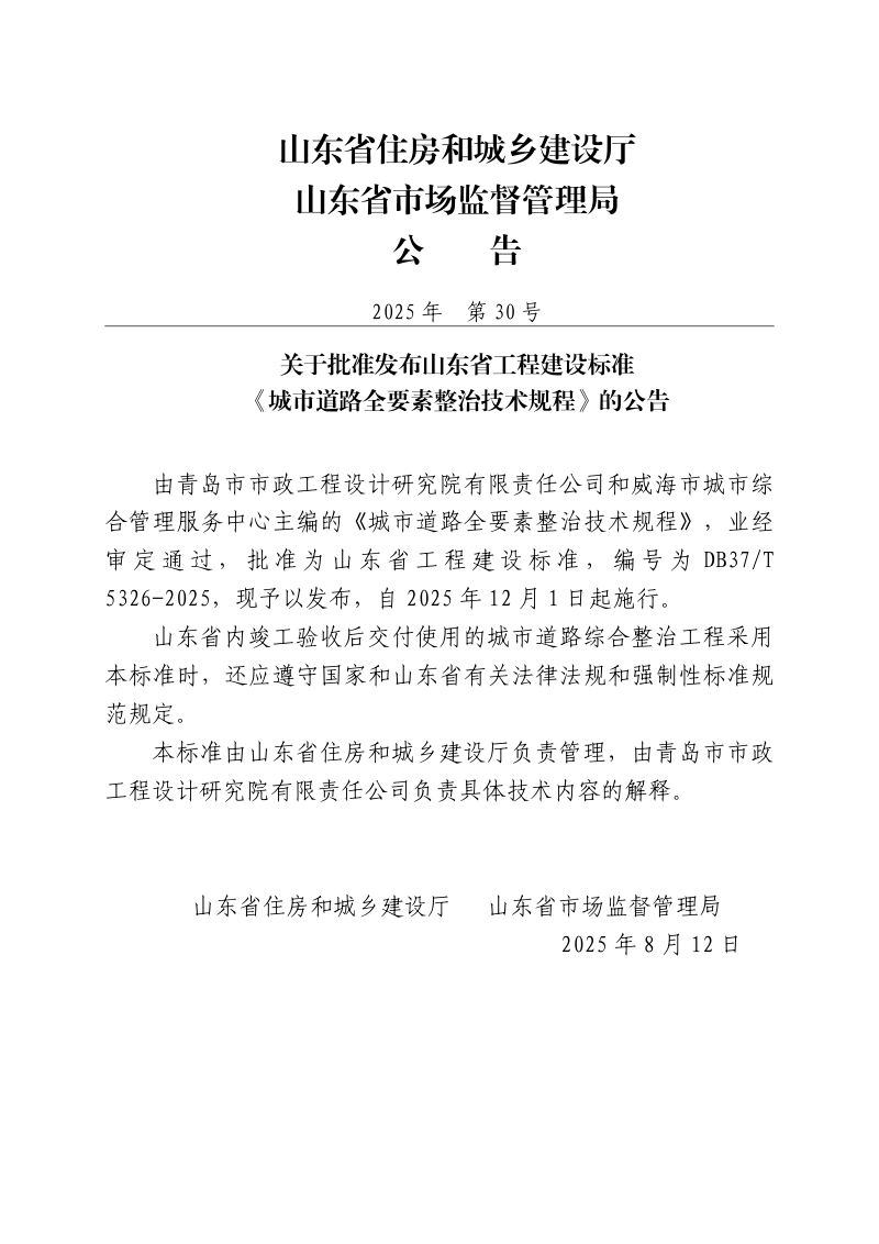 山东省《城市道路全要素整治技术规程》DB37/T5326-2025第3页