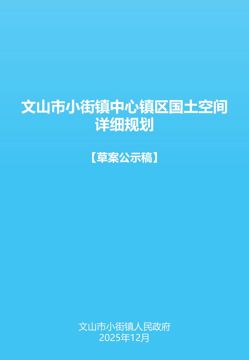 文山市小街镇中心镇区国土空间详细规划第1页