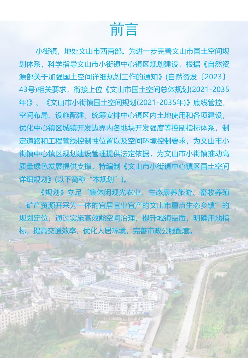 文山市小街镇中心镇区国土空间详细规划第2页