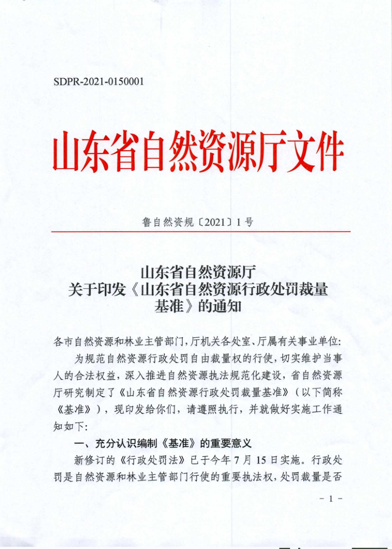 山东省自然资源厅《山东省自然资源行政处罚裁量基准》鲁自然资规〔2021〕1号第1页