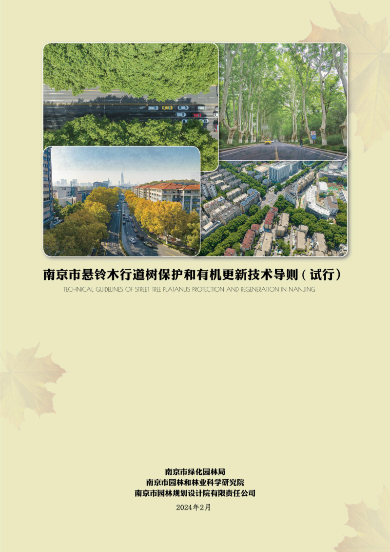 南京市悬铃木行道树保护和有机更新技术导则(试行)第1页