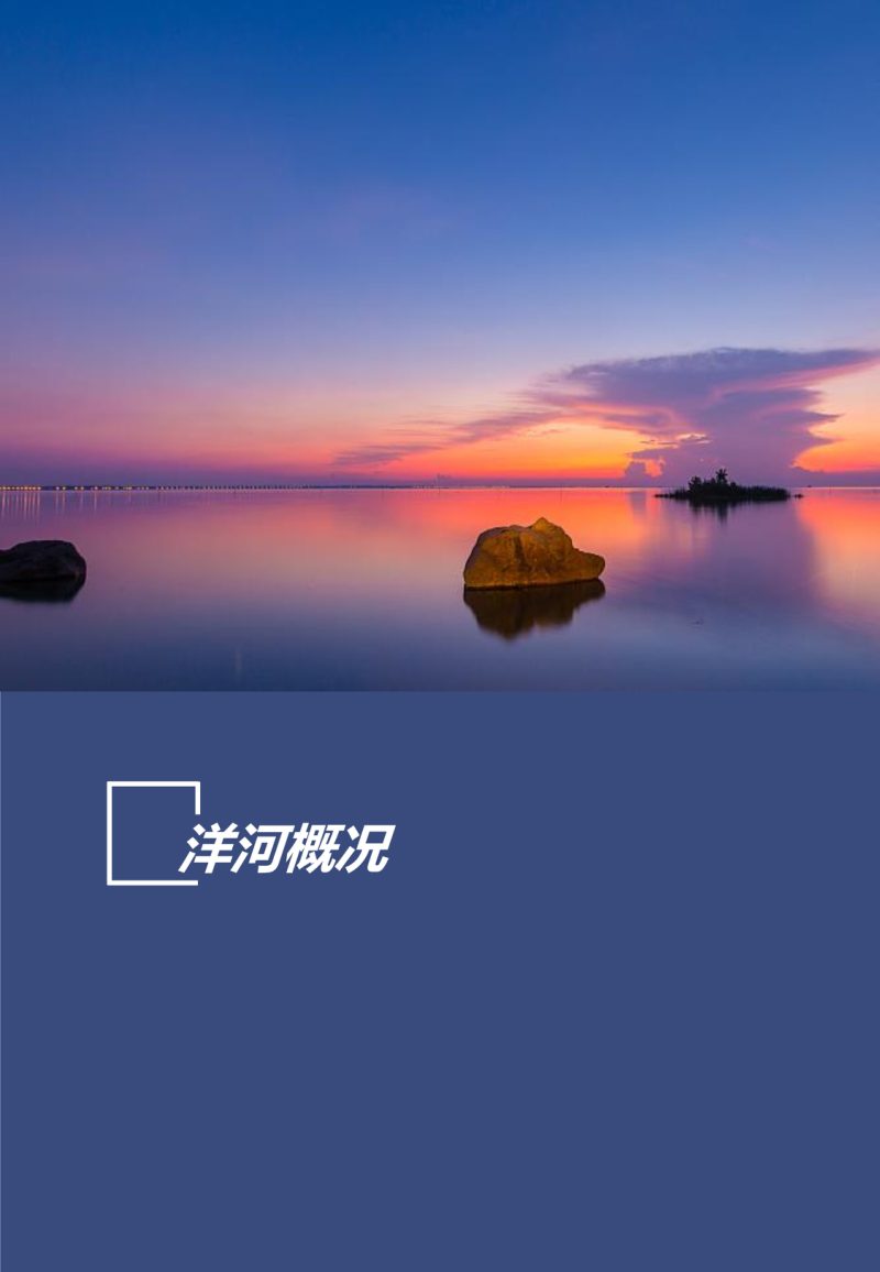 江苏省宿迁市洋河新区国土空间分区规划（2021-2035）第3页