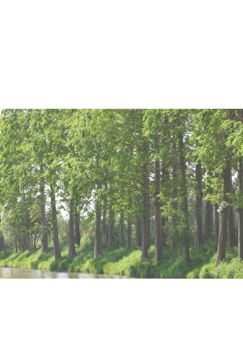 上海市五个新城绿环生物多样性建设导则第2页