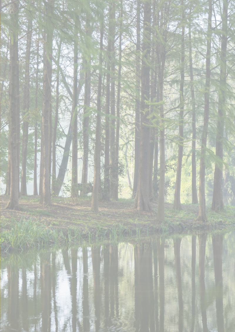 上海市五个新城绿环生物多样性建设导则第3页