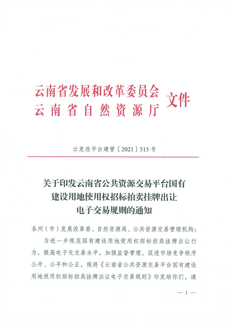 云南省公共资源交易平台国有建设用地使用权招标拍卖挂牌出让电子交易规则第1页