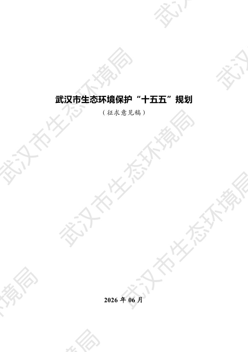 武汉市生态环境保护“十五五”规划（征求意见稿）第1页