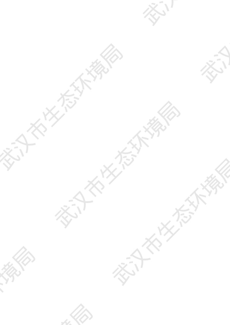 武汉市生态环境保护“十五五”规划（征求意见稿）第2页